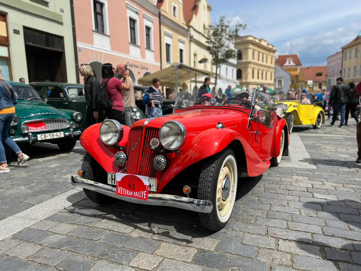 55. Křivonoska – spec. kategorie Douglas